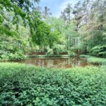 Property photo for land for sale in Prentiss County Mississippi