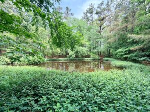 Property photo for land for sale in Prentiss County Mississippi