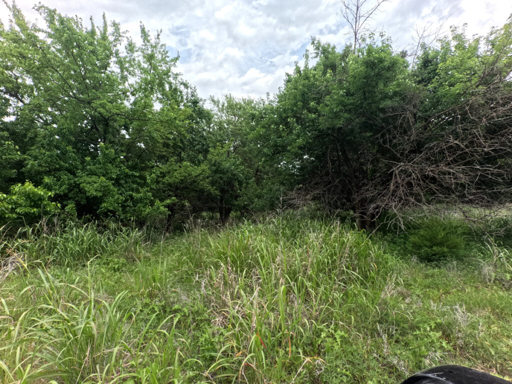 9430c5ff-74f3-4201-878e-40f65419af79.jpg