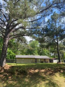 Property photo for land for sale in Lawrence County Mississippi