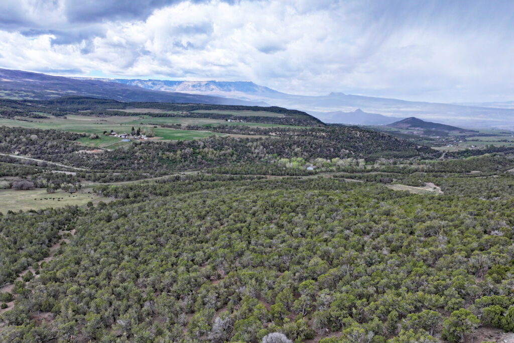 96235c60-d0c8-4a5c-8e09-ac57c8398657.jpg