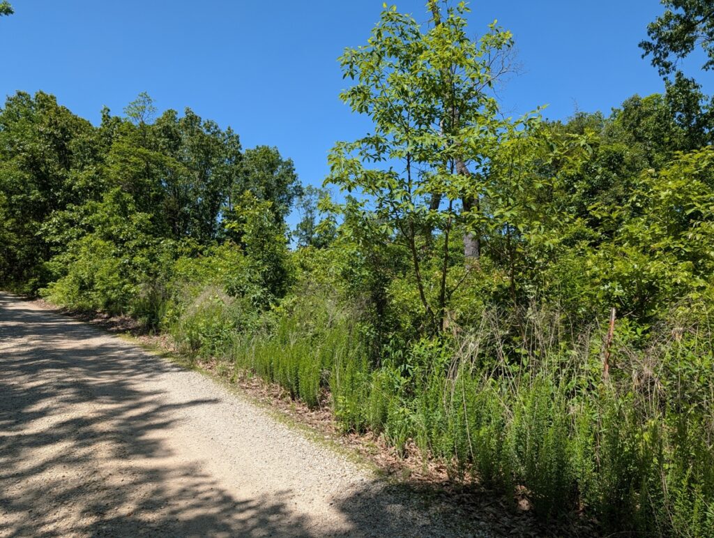 Property photo for land for sale in Morgan County Missouri