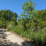 Property photo for land for sale in Morgan County Missouri