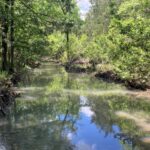 Property photo for land for sale in Le Flore County Oklahoma
