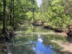 Property photo for land for sale in Le Flore County Oklahoma