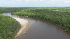 Property photo for land for sale in St. Tammany County Louisiana