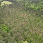 Property photo for land for sale in Bienville County Louisiana