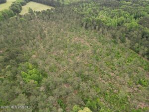 Property photo for land for sale in Bienville County Louisiana