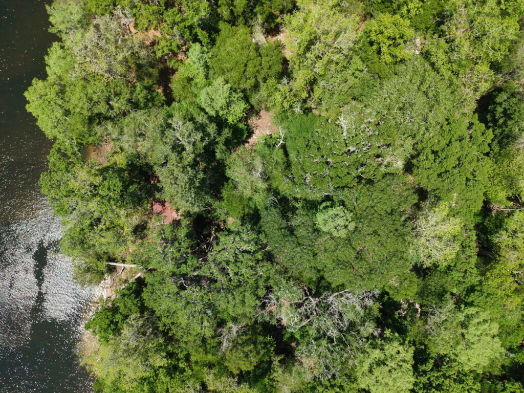 9727d795-9e73-4327-9636-59c6179ceb60.jpg