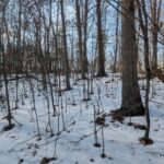 Property photo for land for sale in Washington County Ohio