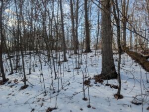 Property photo for land for sale in Washington County Ohio