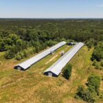 Property photo for land for sale in Newton County Mississippi