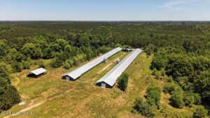 Property photo for land for sale in Newton County Mississippi