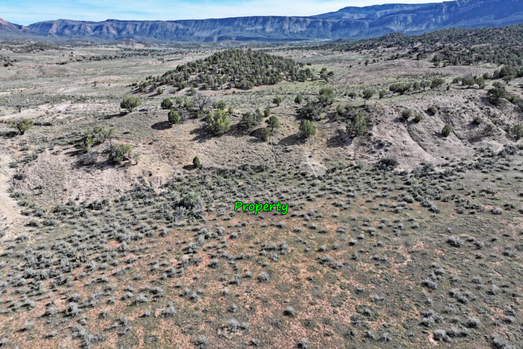 98708172-76b0-4abc-b45c-66c336c24c20.jpg