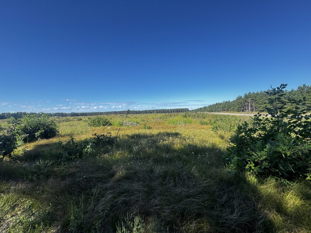 9890e13d-cf3e-459a-931f-ae44163e439f.jpg
