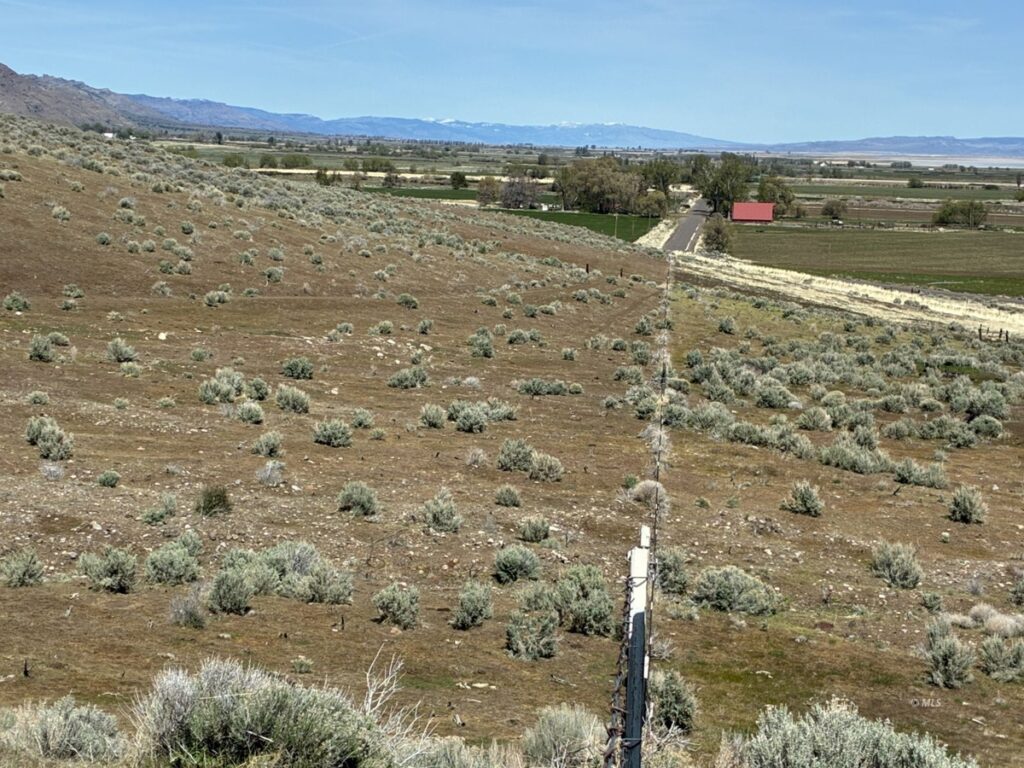 9a5e0bad-ad33-467e-a8dc-95d8feeb9c7e.jpg