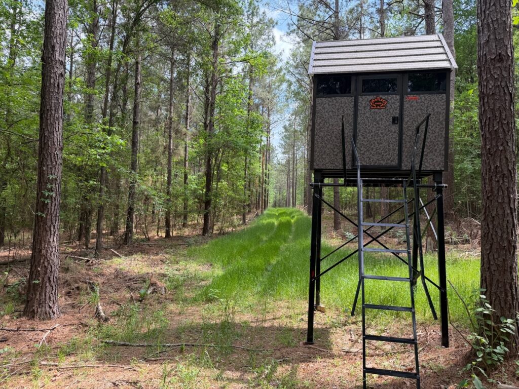 Property photo for land for sale in Winn County Louisiana