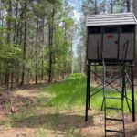 Property photo for land for sale in Winn County Louisiana
