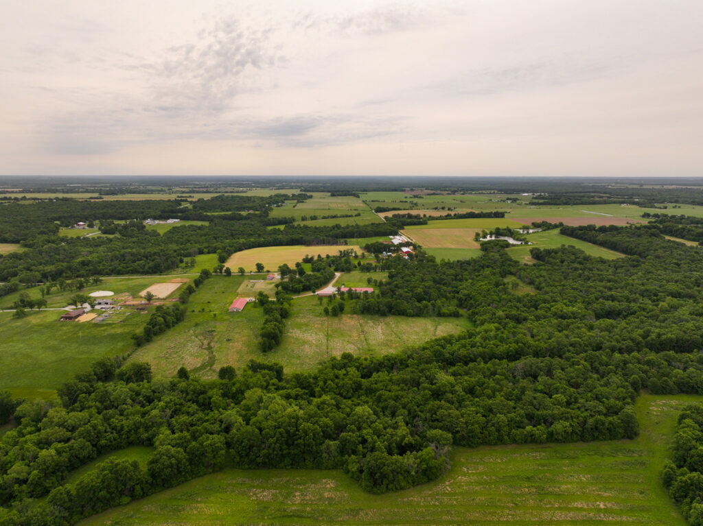 9bf20652-4885-4d21-b8b7-a219ea274df8.jpg