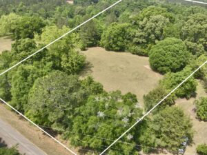 Property photo for land for sale in Geneva County Alabama