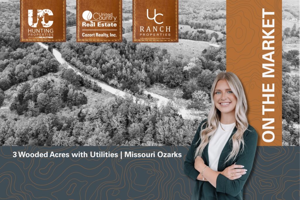 Property photo for land for sale in Ozark County Missouri