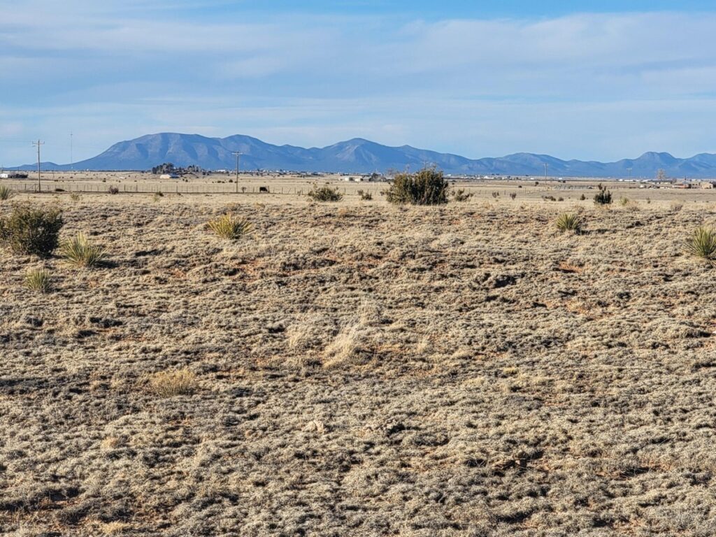 Property photo for land for sale in Torrance County New Mexico