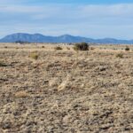 Property photo for land for sale in Torrance County New Mexico