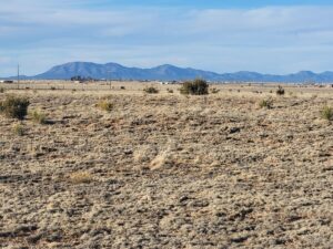 Property photo for land for sale in Torrance County New Mexico