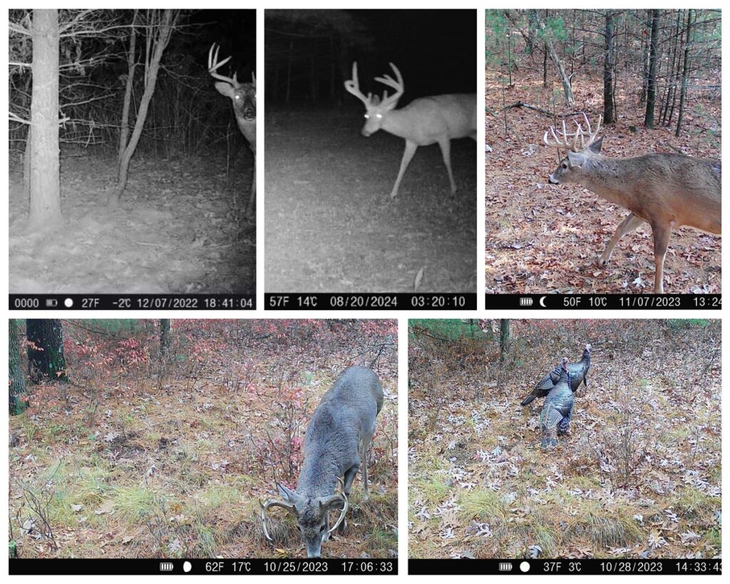 Property photo for land for sale in Adams County Wisconsin
