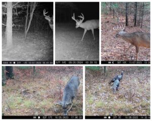 Property photo for land for sale in Adams County Wisconsin