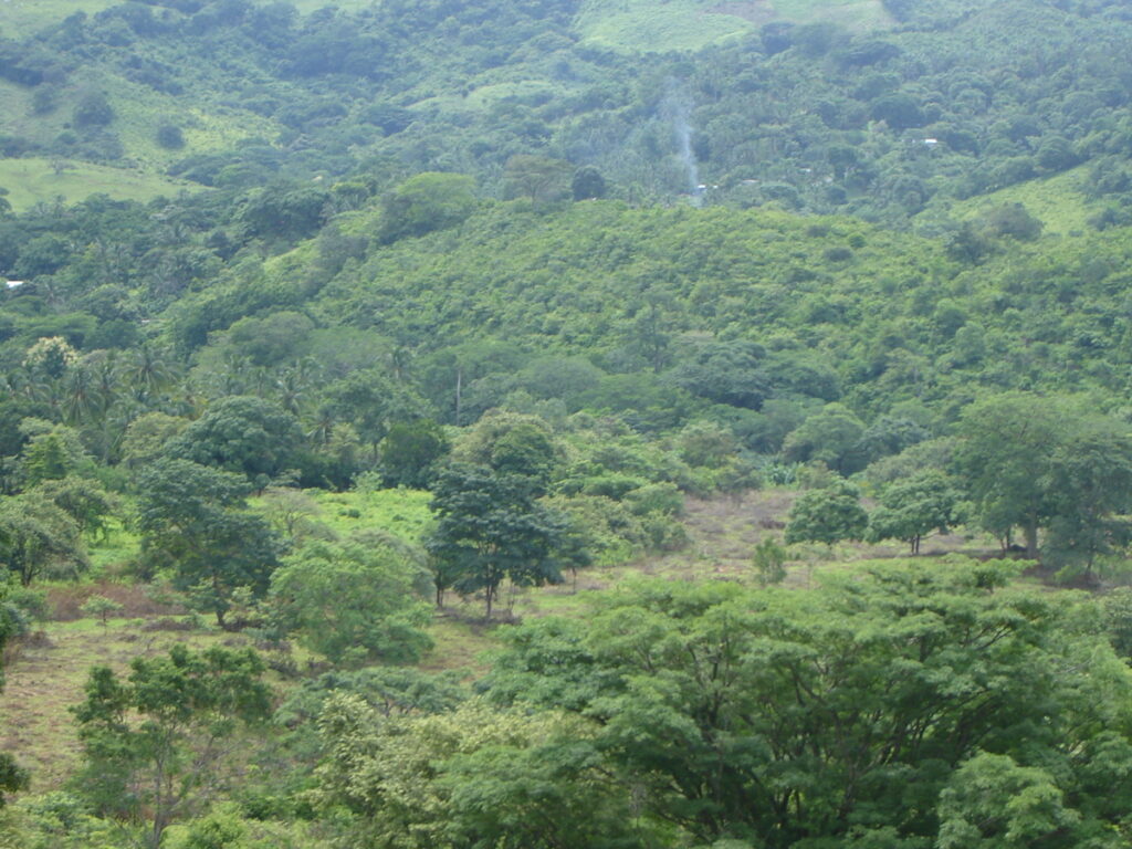 9de19eeb-7cf0-45d1-a0e8-26ee6b87ac5c.jpg