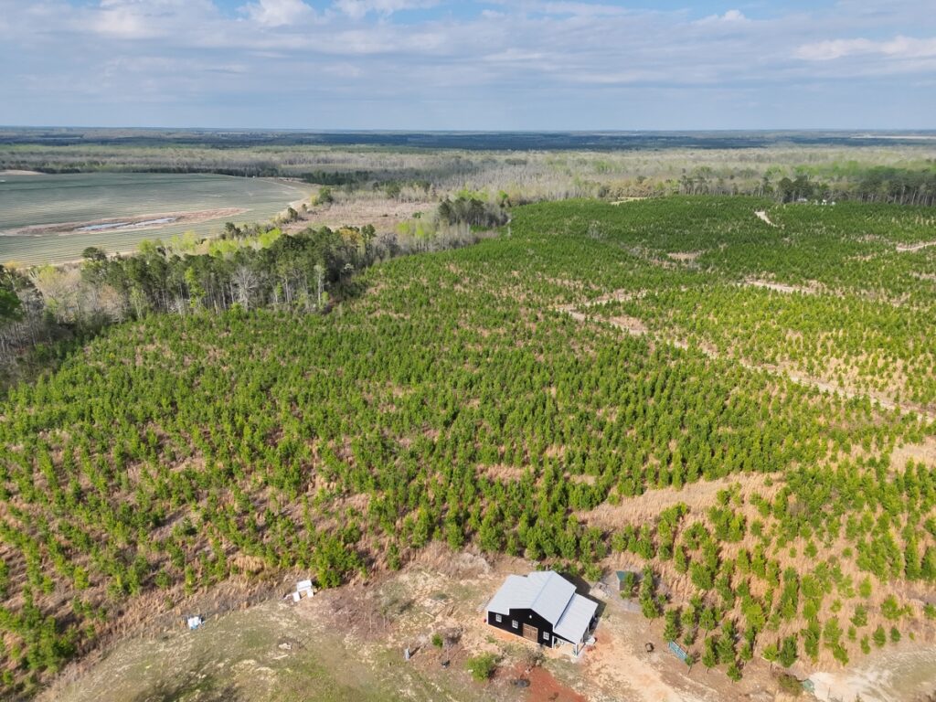 Property photo for land for sale in Barnwell County South Carolina