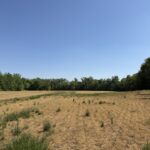 Property photo for land for sale in McNairy County Tennessee