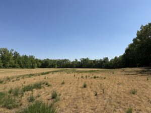 Property photo for land for sale in McNairy County Tennessee