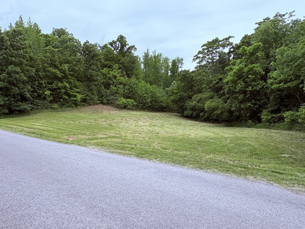 a0015d94-7ca7-4fd7-ae14-a8ce756b0d72.jpg