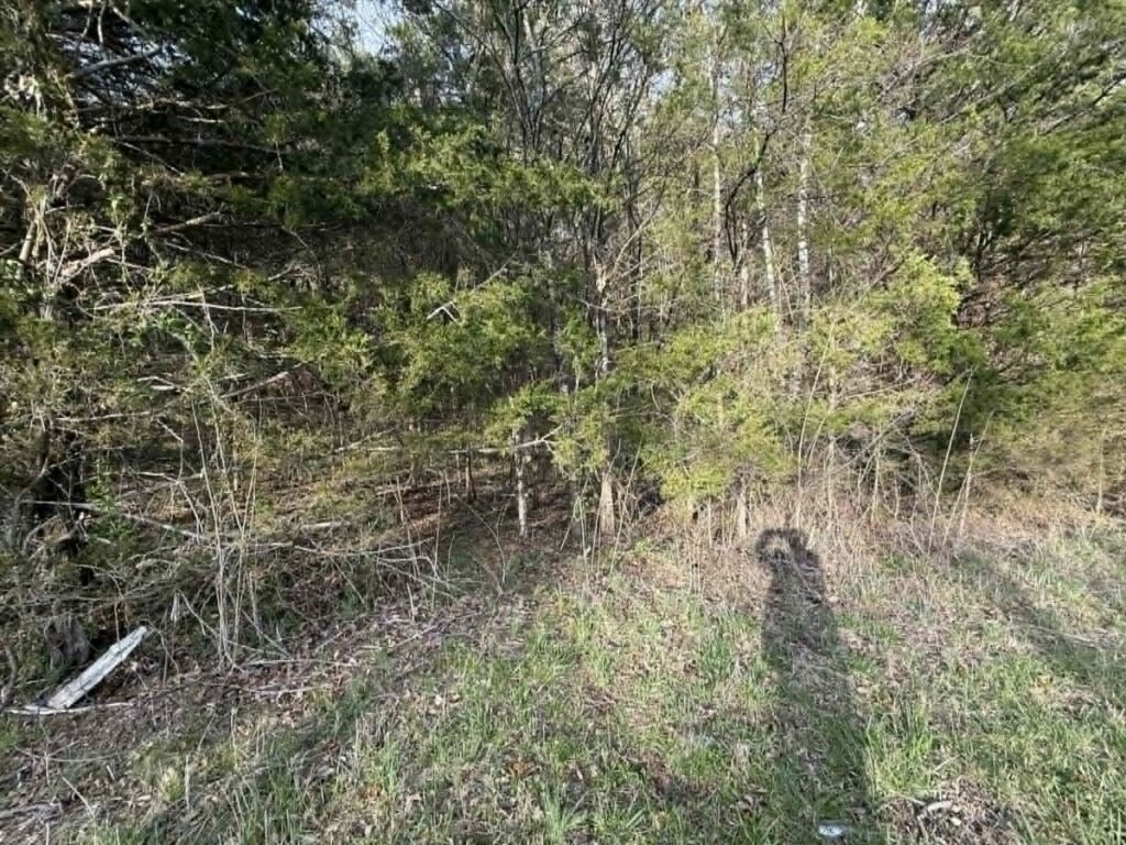 a00bf1f2-d4b9-4b0c-bd67-8874ae126697.jpg