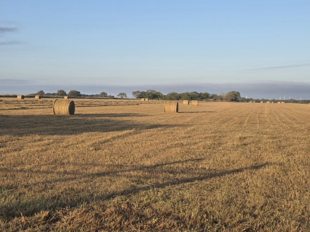 Property photo for land for sale in San Patricio County Texas