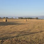 Property photo for land for sale in San Patricio County Texas