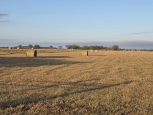 Property photo for land for sale in San Patricio County Texas