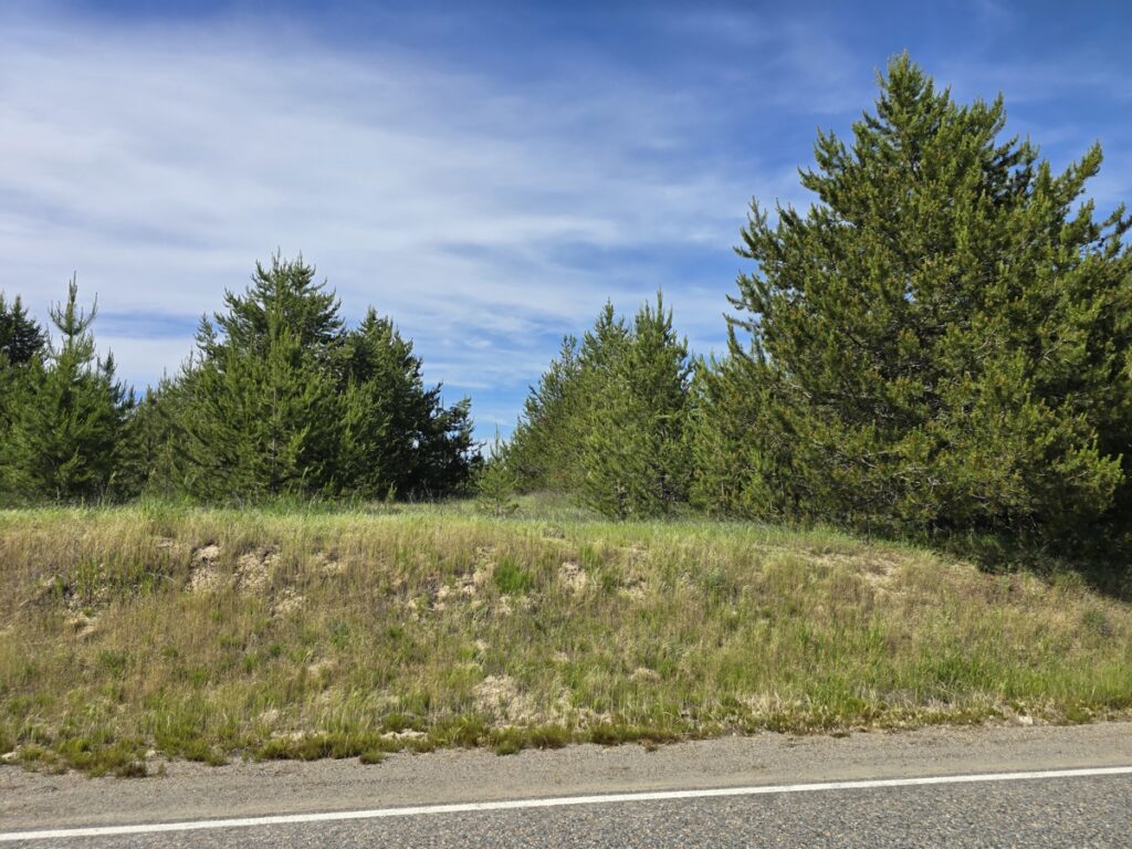 a0fb55de-7358-4793-88ec-ac7d1c3aec11.jpg
