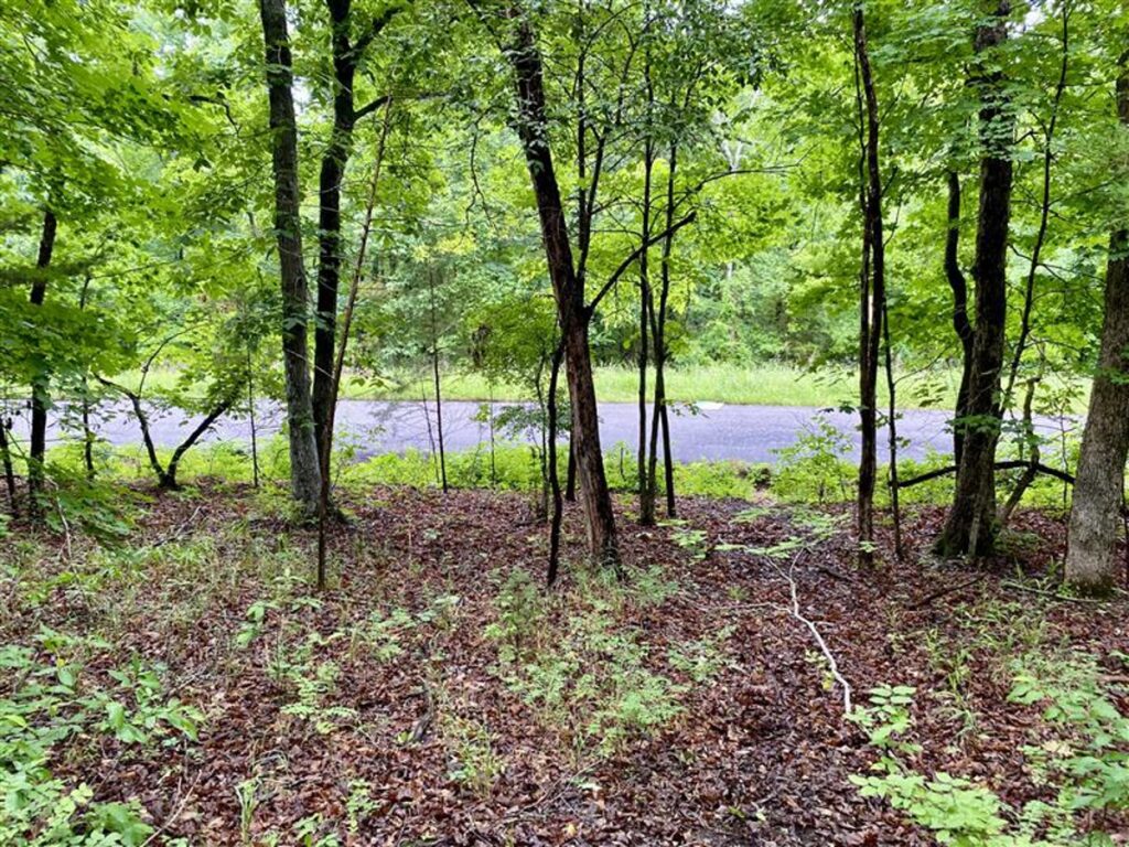 Property photo for land for sale in Carroll County Arkansas