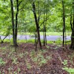 Property photo for land for sale in Carroll County Arkansas