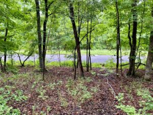 Property photo for land for sale in Carroll County Arkansas