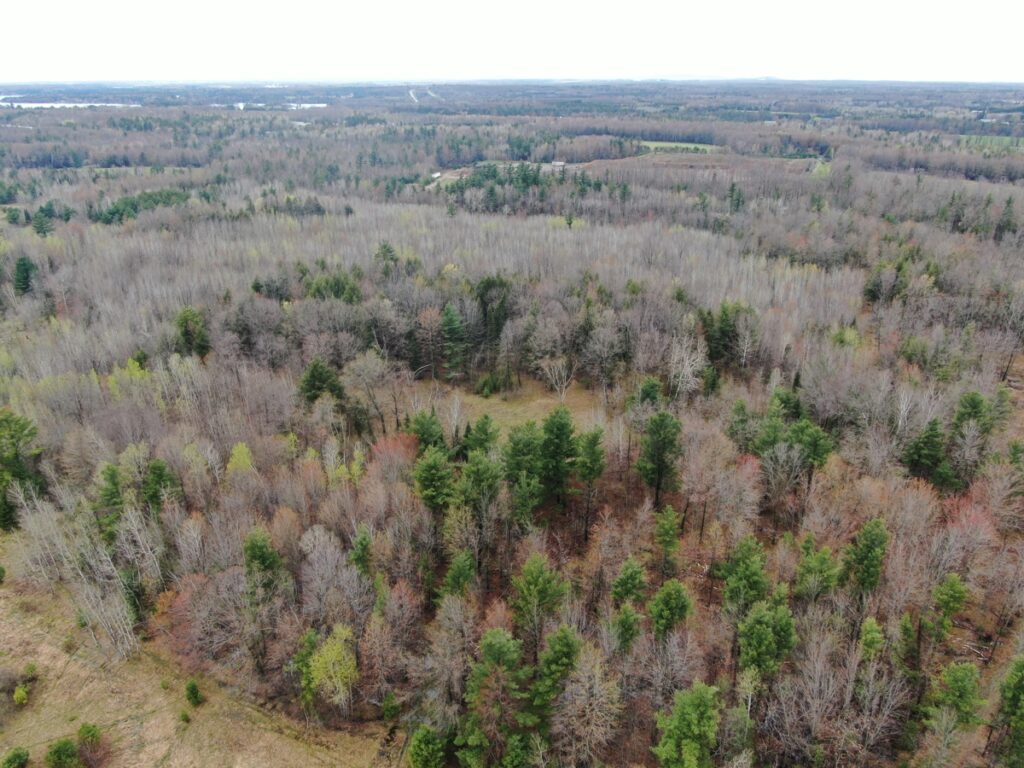 Property photo for land for sale in Portage County Wisconsin