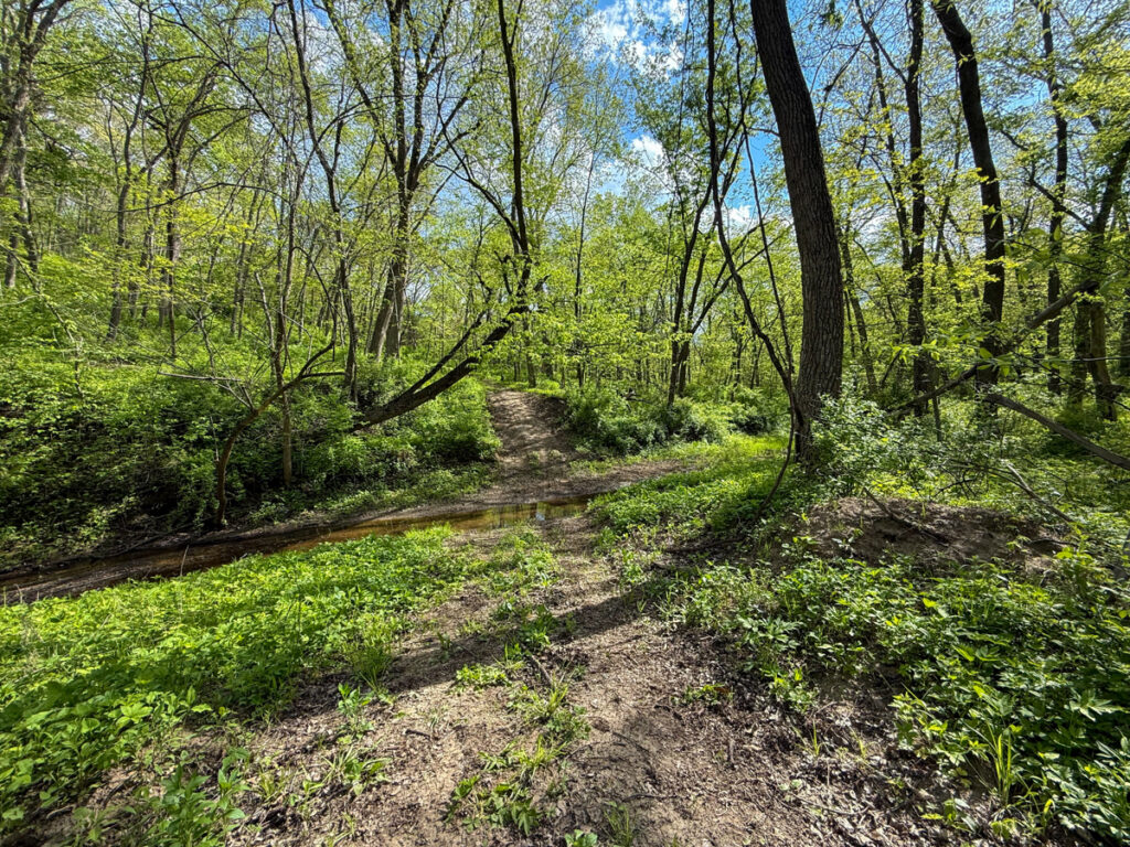 a40f6534-a6ef-410d-ae0d-5ac17312222b.jpg
