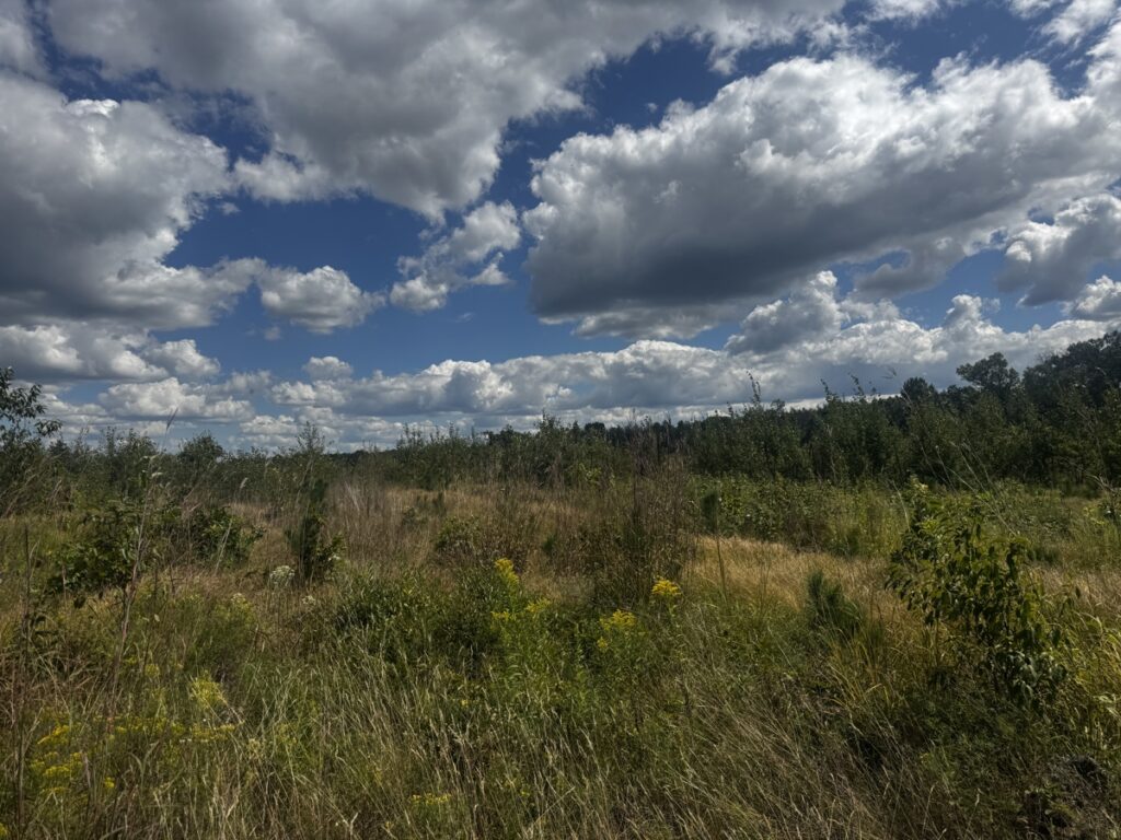 a40f8c09-86cb-4f80-aa87-f1f4edc58e12.jpg