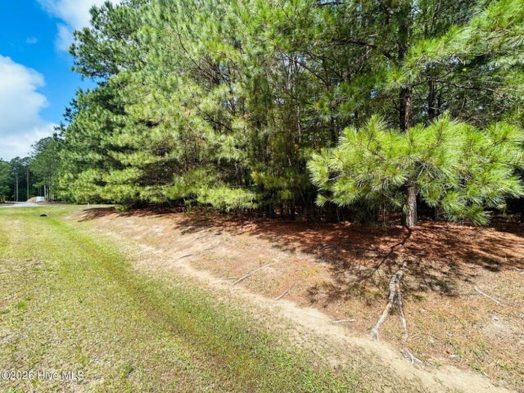 Property photo for land for sale in Perquimans County North Carolina