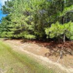 Property photo for land for sale in Perquimans County North Carolina