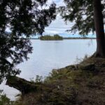Property photo for land for sale in Chippewa County Michigan