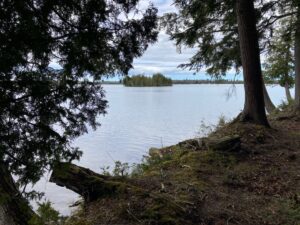 Property photo for land for sale in Chippewa County Michigan